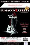 20081213_LumaconExpress_thumb.jpg