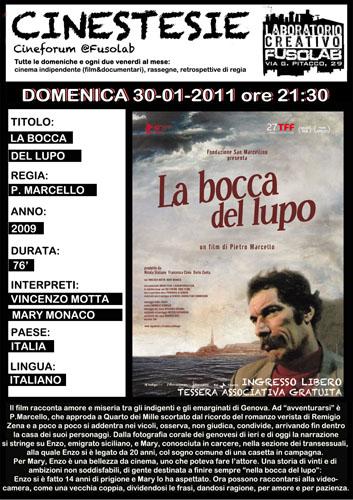 20110130_boccalupo.jpg